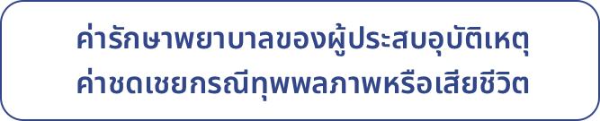 Compulsory Motor Insurance